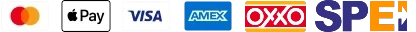 Mastercard, Apple Pay, Visa, American Express, OXXO y SPEI